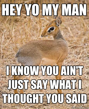hey yo my man I know you ain't just say what I thought you said  Dikdik