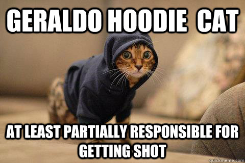 Geraldo Hoodie  cat at least partially responsible for getting shot  