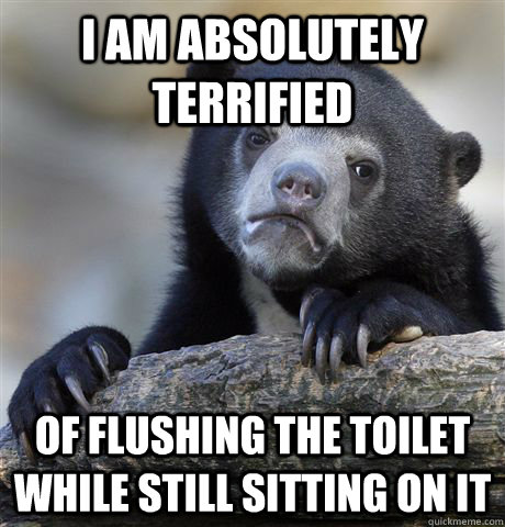 i am absolutely terrified of flushing the toilet while still sitting on it  - i am absolutely terrified of flushing the toilet while still sitting on it   confessionbear