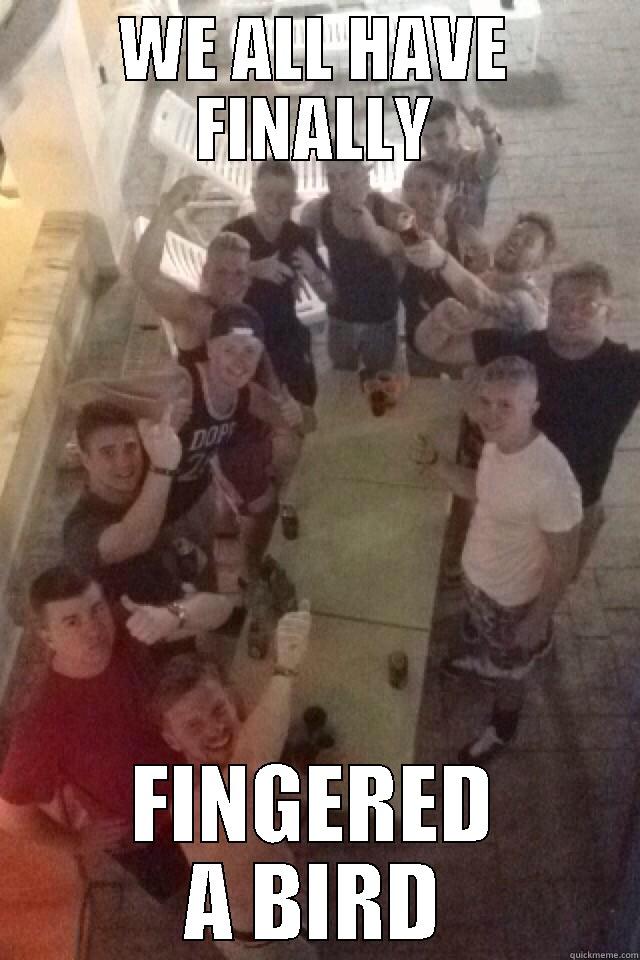 WE ALL HAVE FINALLY FINGERED A BIRD Misc