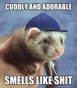 Cuddly and adorable smells like shit  