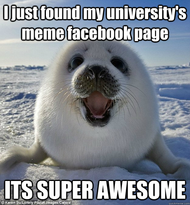 I just found my university's meme facebook page ITS SUPER AWESOME  Easily Pleased Seal