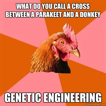 What do you call a cross between a parakeet and a donkey genetic engineering  Anti-Joke Chicken