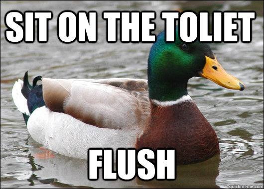 sit on the toliet flush  Actual Advice Mallard