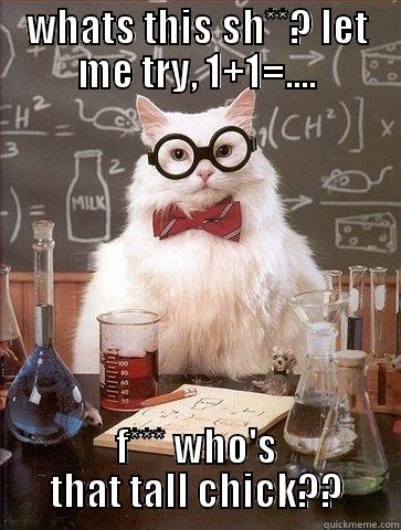 WHATS THIS SH**? LET ME TRY, 1+1=.... F*** WHO'S THAT TALL CHICK?? Chemistry Cat