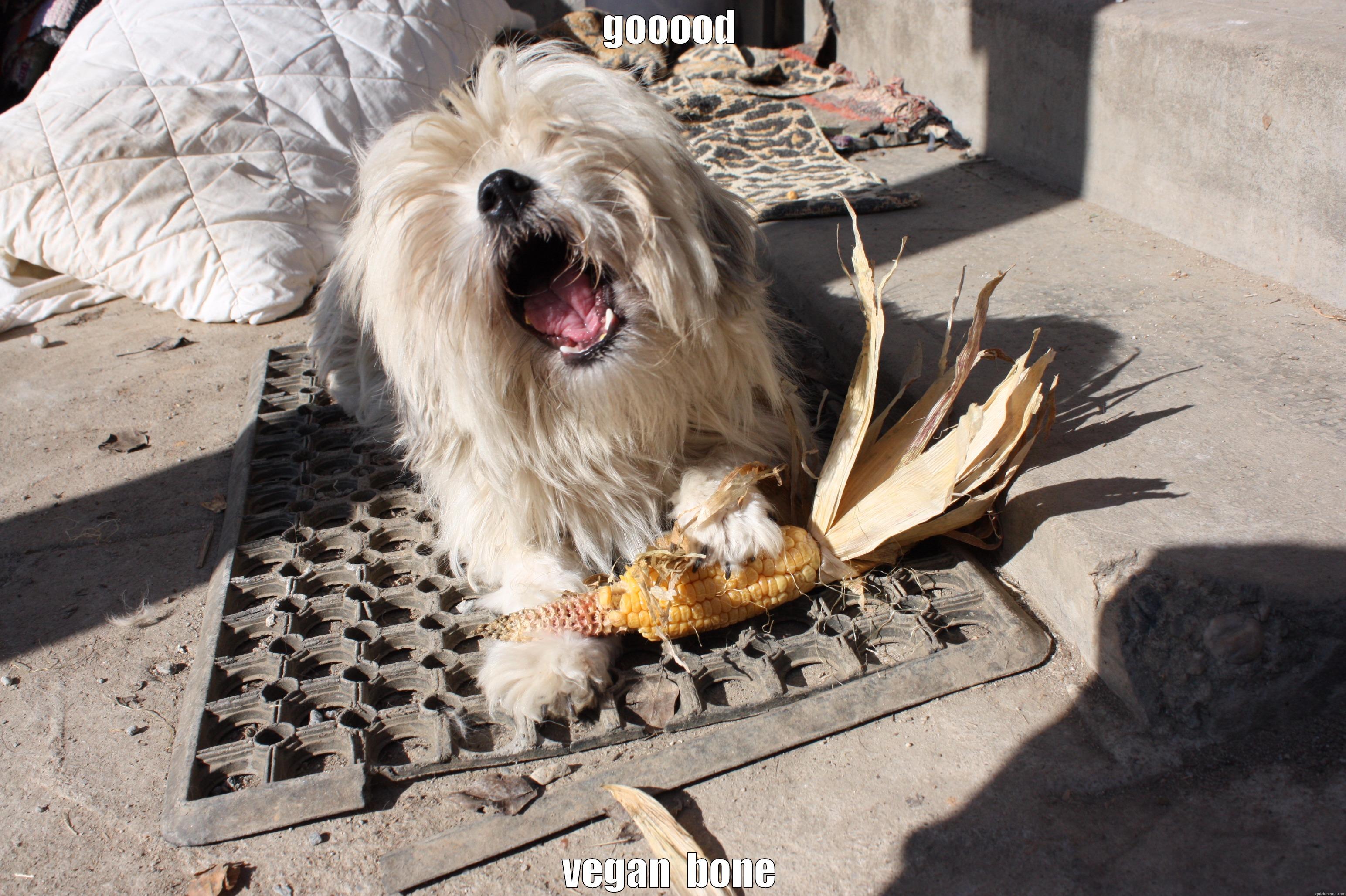 GOOOOD VEGAN  BONE Misc