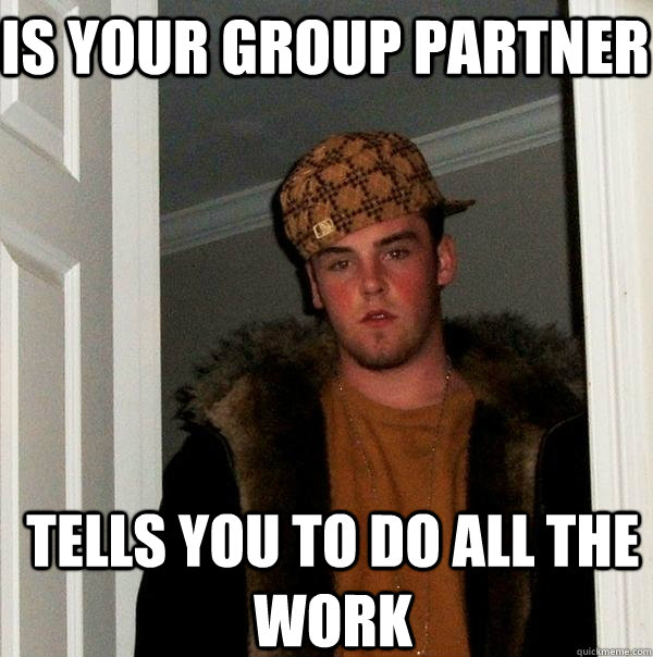 is your group partner tells you to do all the work  Scumbag Steve