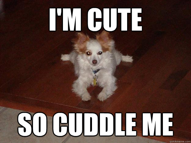 I'm cute So cuddle me  