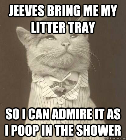 Jeeves Bring me my litter tray so I can admire it as I poop in the shower  Aristocat