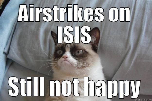 AIRSTRIKES ON ISIS STILL NOT HAPPY Grumpy Cat