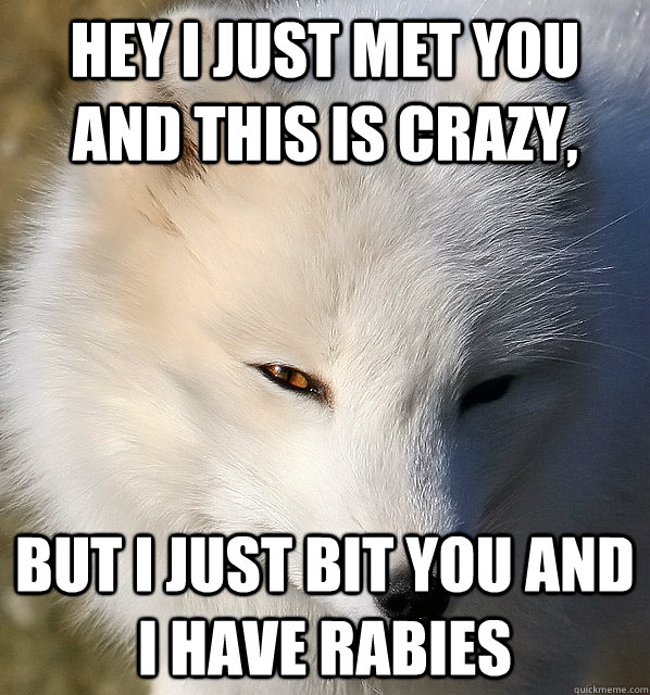 hey i just met you and this is crazy, but i just bit you and i have rabies  rabid arctic fox