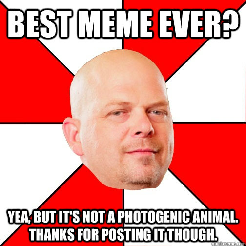 best meme ever? Yea, but it's not a photogenic animal. Thanks for posting it though.  Pawn Star