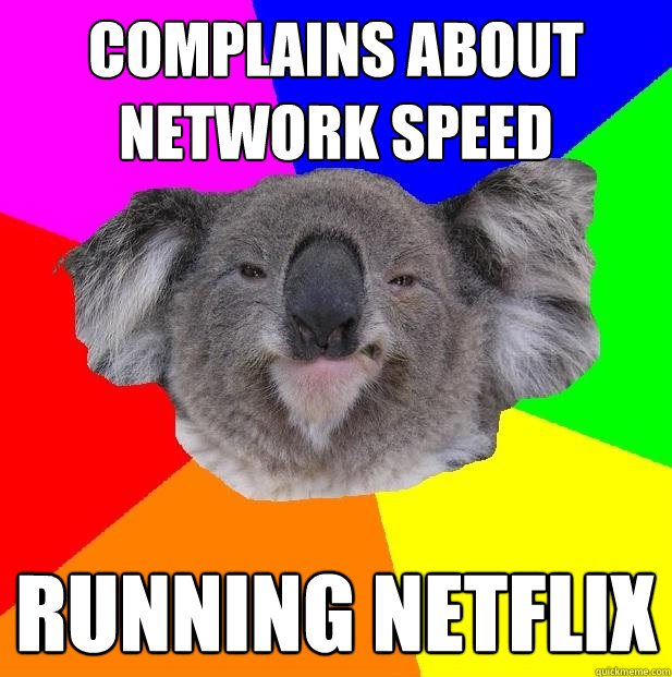 Complains about network speed Running netflix  Incompetent coworker koala