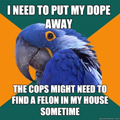 I need to put my dope away The cops might need to find a felon in my house sometime   Paranoid Parrot