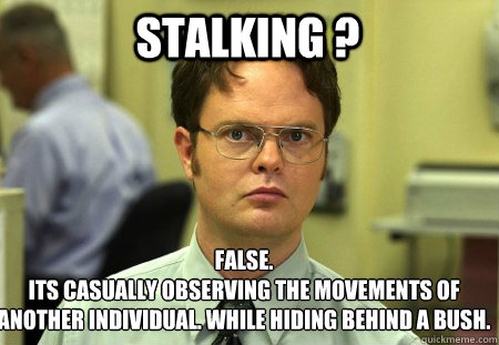 Stalking ?  False.
its casually observing the movements of another individual. while hiding behind a bush.   Schrute