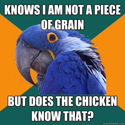 Knows I am not a piece of grain But does the chicken know that?  Paranoid Parrot