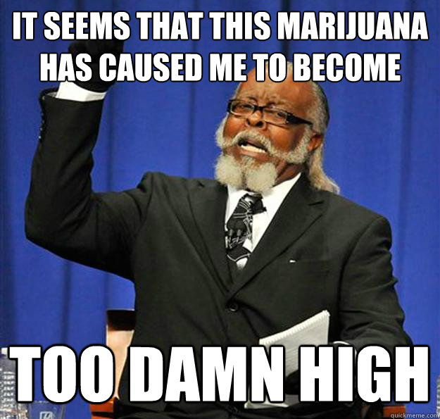 it seems that this marijuana has caused me to become too damn high  Jimmy McMillan
