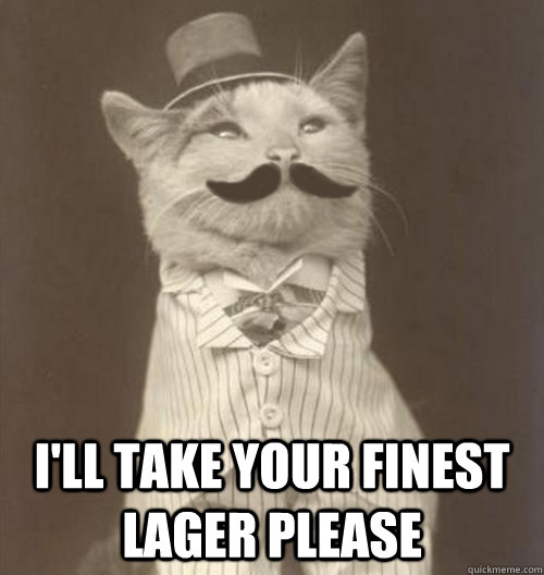  I'll take your finest lager please  Original Business Cat