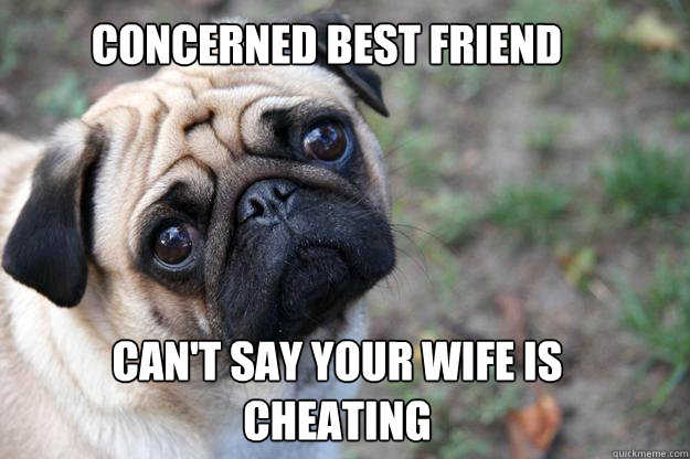 Concerned best friend Can't say your wife is cheating - Concerned best friend Can't say your wife is cheating  First World Dog problems