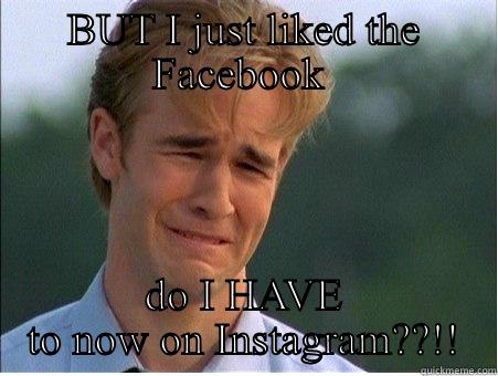 BUT I JUST LIKED THE FACEBOOK  DO I HAVE TO NOW ON INSTAGRAM??!! 1990s Problems