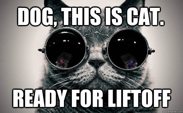 Dog, this is cat.  ready for liftoff - Dog, this is cat.  ready for liftoff  Cat morpheus plus paws