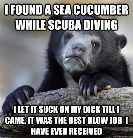 I found a sea cucumber while scuba diving I let it suck on my dick till I came, it was the best blow job  i  have ever received  - I found a sea cucumber while scuba diving I let it suck on my dick till I came, it was the best blow job  i  have ever received   Confession Bear