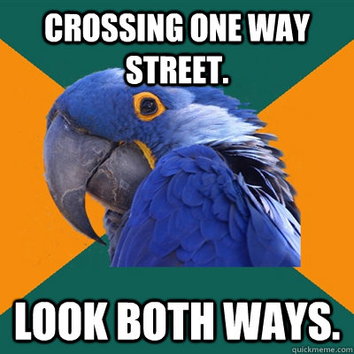 crossing one way street. Look both ways.  Paranoid Parrot
