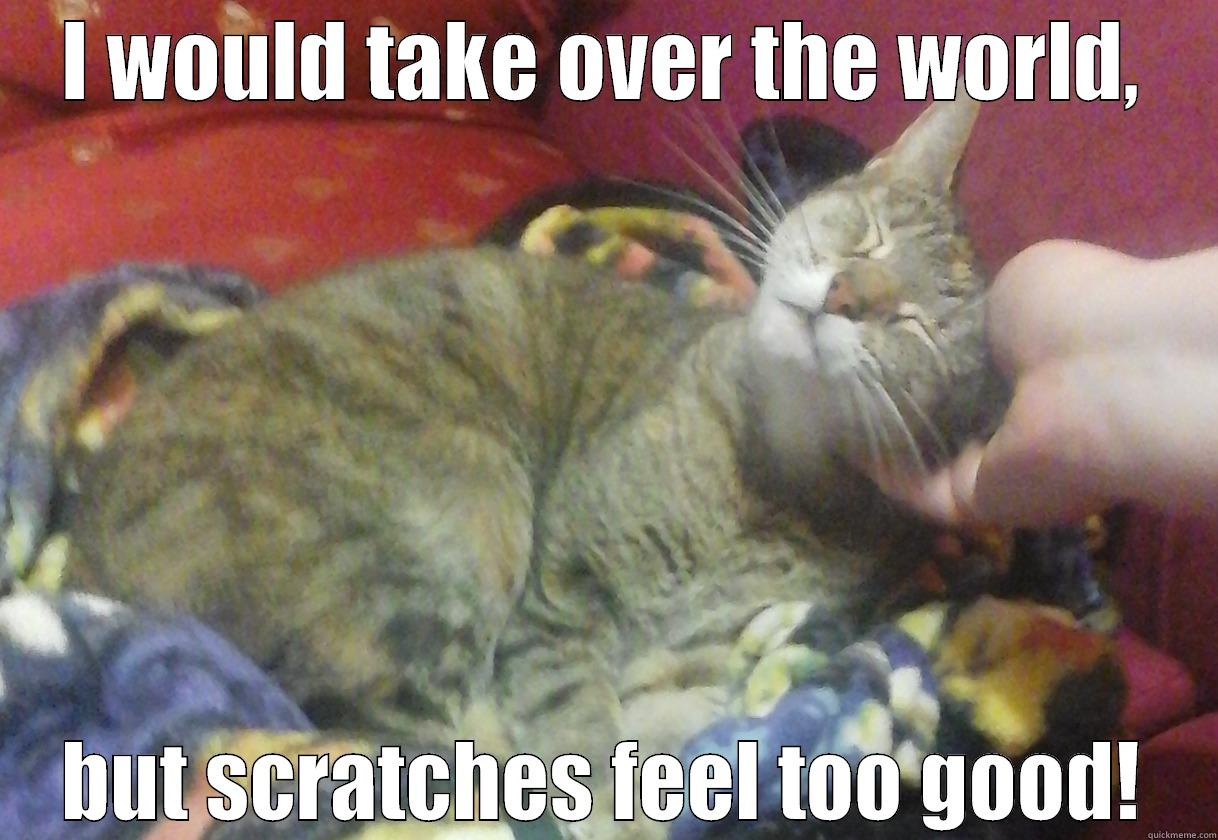 I WOULD TAKE OVER THE WORLD, BUT SCRATCHES FEEL TOO GOOD! Misc