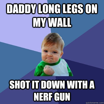 Daddy Long legs on my wall shot it down with a nerf gun - Daddy Long legs on my wall shot it down with a nerf gun  Success Kid