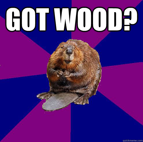 GOT WOOD?  - GOT WOOD?   Barely Ethical Beaver