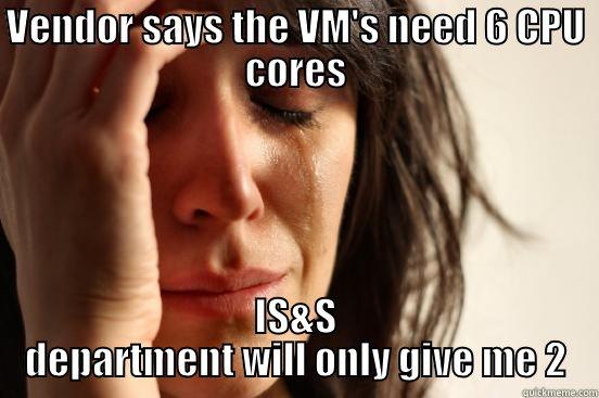 VENDOR SAYS THE VM'S NEED 6 CPU CORES IS&S DEPARTMENT WILL ONLY GIVE ME 2 First World Problems