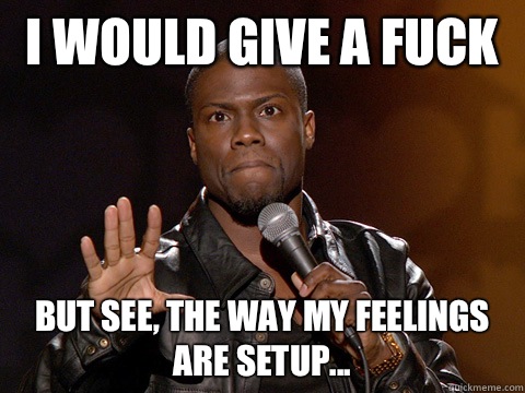 I would give a fuck  But see, the way my feelings are setup... - I would give a fuck  But see, the way my feelings are setup...  Kevin Hart