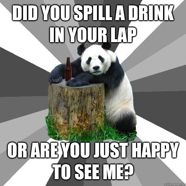 Did you spill a drink in your lap Or are you just happy to see me?  Pickup-Line Panda