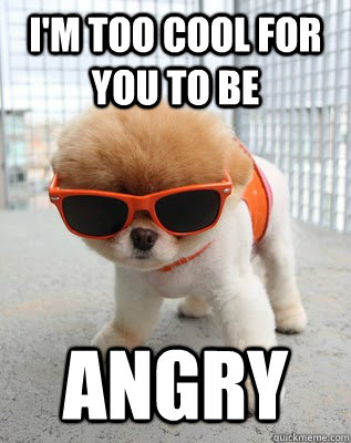 i'm too cool for you to be angry - i'm too cool for you to be angry  Boo the worlds cutest dog
