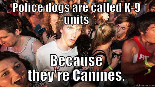 POLICE DOGS ARE CALLED K-9 UNITS BECAUSE THEY'RE CANINES. Sudden Clarity Clarence