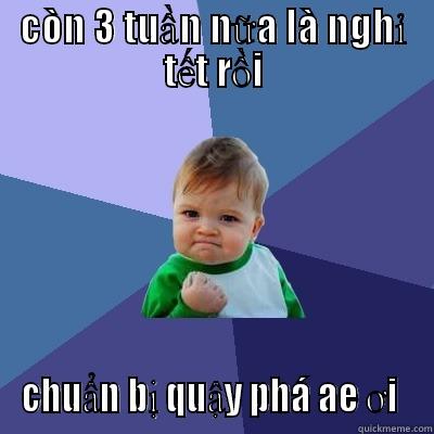 CÒN 3 TUẦN NỮA LÀ NGHỈ TẾT RỒI CHUẨN BỊ QUẬY PHÁ AE ƠI  Success Kid
