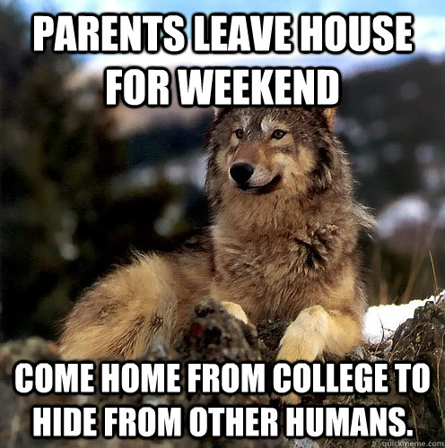 Parents leave house for weekend Come home from college to hide from other humans.  Aspie Wolf