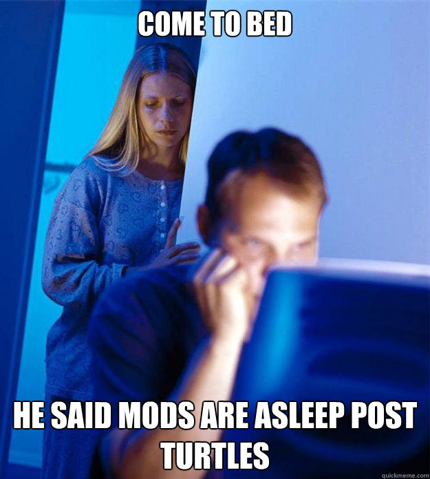 come to bed he said mods are asleep post turtles Caption 3 goes here  Redditors Wife