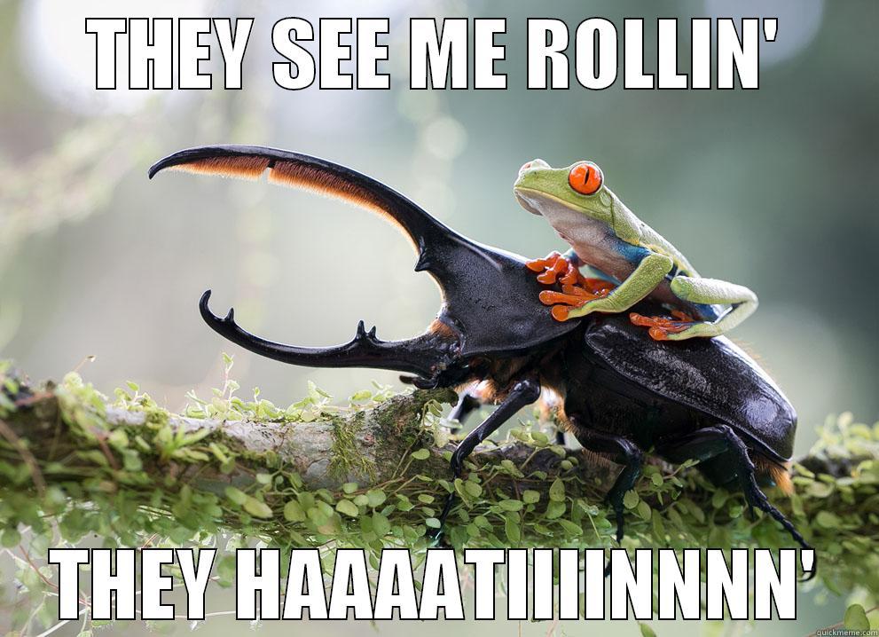 THEY SEE ME ROLLIN' THEY HAAAATIIIINNNN' Misc