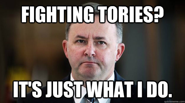Fighting Tories? It's just what I do. - Fighting Tories? It's just what I do.  Albo Fighting Tories