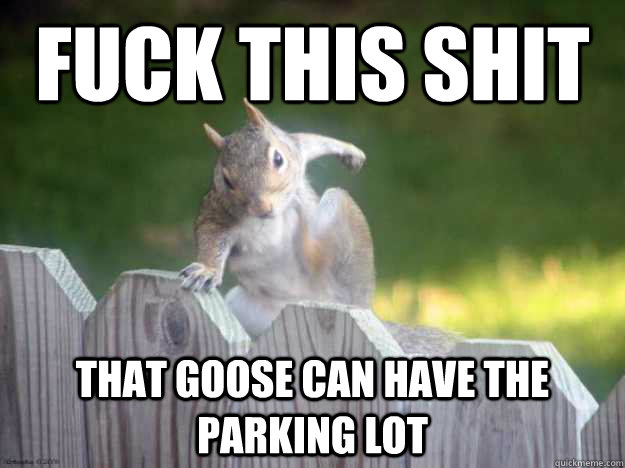 fuck this shit that goose can have the parking lot  