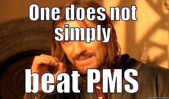 ONE DOES NOT SIMPLY BEAT PMS Boromir