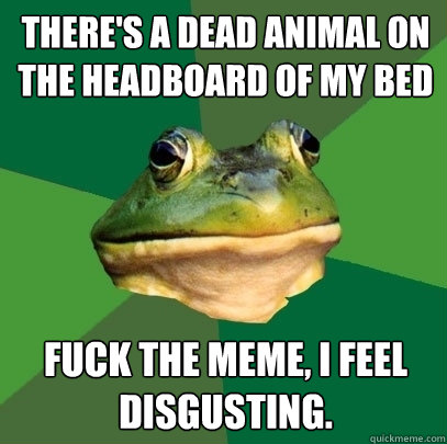 There's a dead animal on the headboard of my bed Fuck the meme, I feel disgusting.   Foul Bachelor Frog