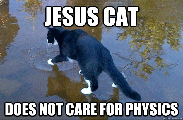 Jesus cat  Does not care for physics - Jesus cat  Does not care for physics  Jesus Cat