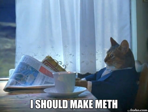  i should make meth
 -  i should make meth
  Contemplative Breakfast Cat