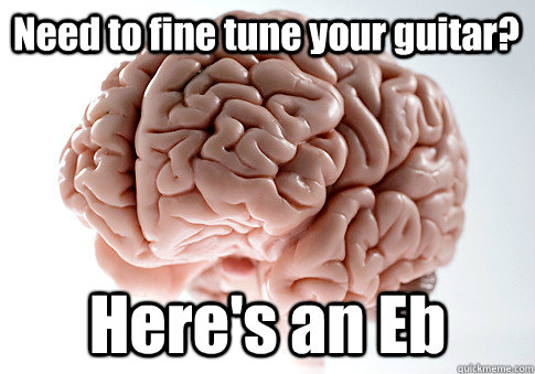 Need to fine tune your guitar? Here's an Eb   Scumbag Brain