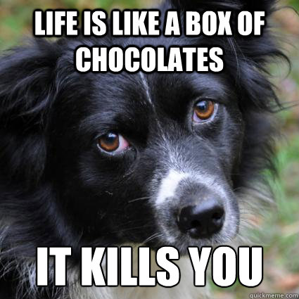 life is like a box of chocolates It kills you - life is like a box of chocolates It kills you  Misc