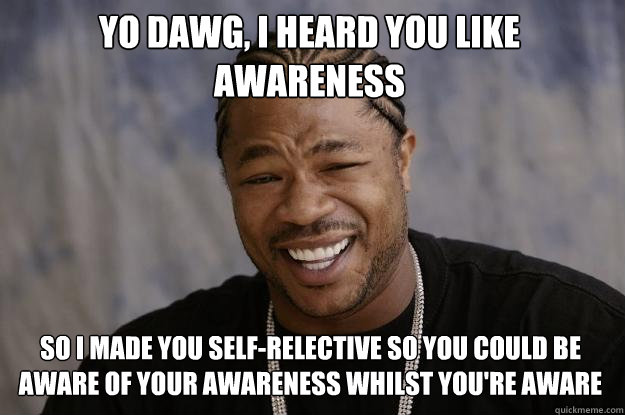 Yo dawg, I heard you like awareness so I made you self-relective so you could be aware of your awareness whilst you're aware - Yo dawg, I heard you like awareness so I made you self-relective so you could be aware of your awareness whilst you're aware  Xzibit meme