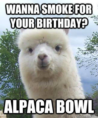 Wanna smoke for your birthday? Alpaca bowl  