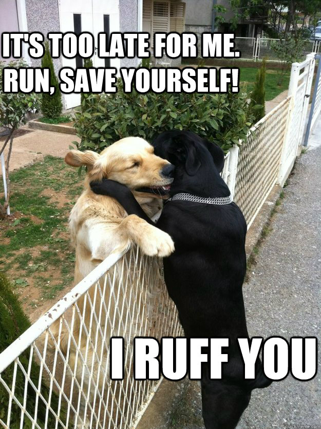It's too late for me. run, save yourself! i ruff you - It's too late for me. run, save yourself! i ruff you  Misc